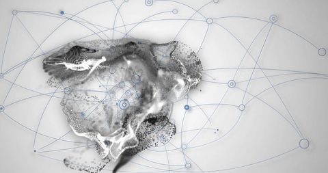 Futuristic Network with Grayscale Animal Illustration