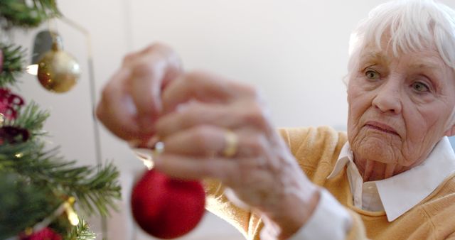 Elderly Woman Decorating Christmas Tree with Red Ornament - Download Free Stock Images Pikwizard.com