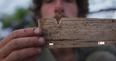 Craftsman Inspecting Weathered Wooden Plank in Forest