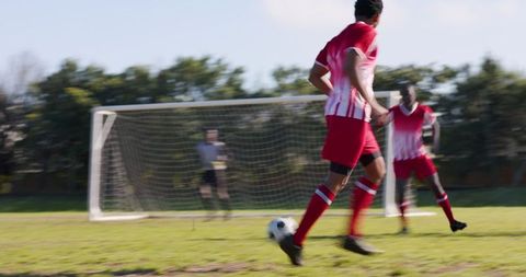 Soccer players in action near goal on field