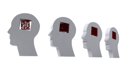 transparent vector heads illustrating knowledge concepts - Download Free Stock Videos Pikwizard.com
