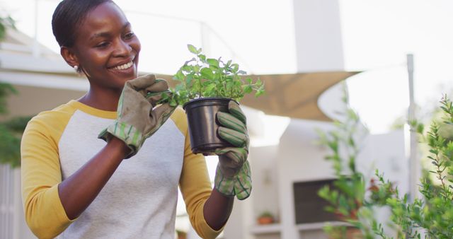 Happy african amercian woman gardening holding pot plant in garden - Download Free Stock Photos Pikwizard.com