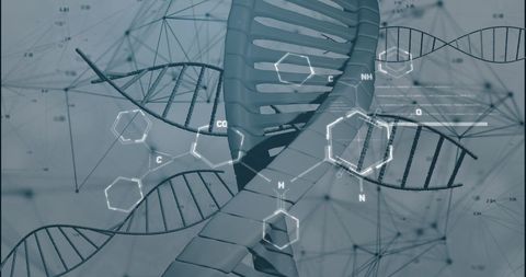 Digital DNA Strand with Molecular Structures in Science Concept - Download Free Stock Images Pikwizard.com