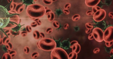 3d illustration of virus infecting red blood cells in bloodstream