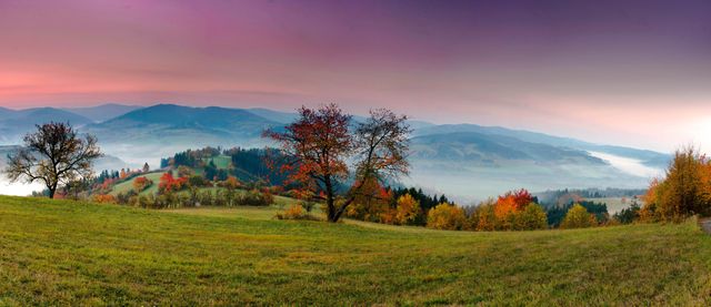 Panoramic view of a beautiful autumn sunrise illuminating the vibrant foliage. Fog gently covers the lower part of the mountains, creating a tranquil and serene atmosphere. Ideal for nature-themed projects, relaxation visuals, travel promotions, and seasonal greeting cards.