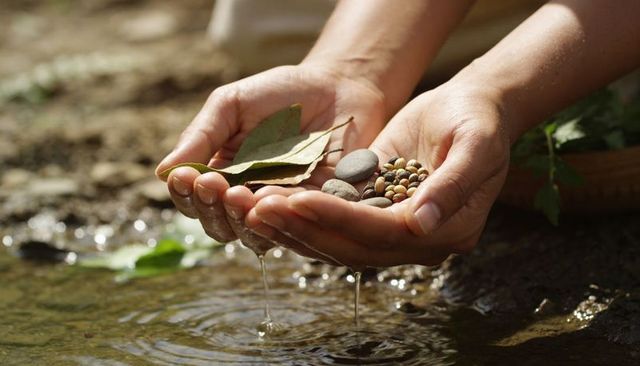 Cupped hands holding seeds, leaves and pebble over stream with dripping water