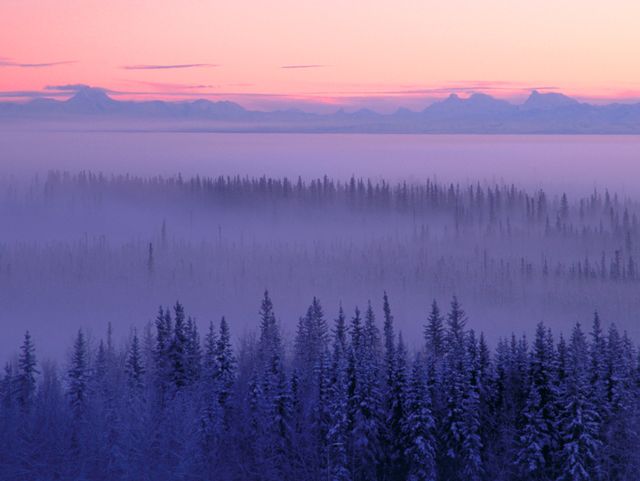 Capturing a tranquil winter morning, this scene features a peaceful sunrise with a purple and pink horizon above a fog-covered forest. A distant mountain range emerges from the mist, creating a picturesque and serene landscape. This visual can be used to represent calm and nature’s beauty, perfect for winter-themed projects, travel advertisements, or backgrounds highlighting tranquility and peacefulness.