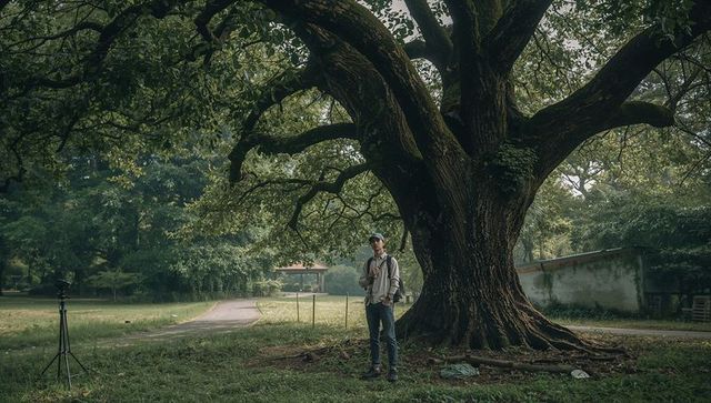 Standing photographer holding camera and backpack under giant tree in misty urban park