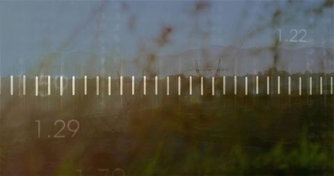 Interactive slider blending nature and technology in open grassland