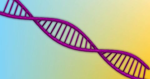 vibrant purple dna strand on gradient background - Download Free Stock Images Pikwizard.com