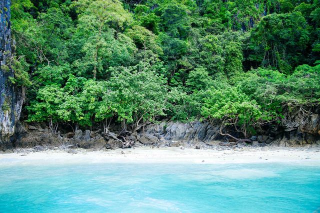 Scenic tropical beach featuring lush, green trees lining the white sand and clear, turquoise water. Ideal for using in travel brochures, exotic vacation advertisements, or nature magazines to evoke feelings of peace, tranquility, and natural beauty.
