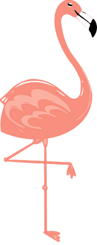 elegant pink flamingo on transparent background in flat design - Download Free Stock Videos Pikwizard.com