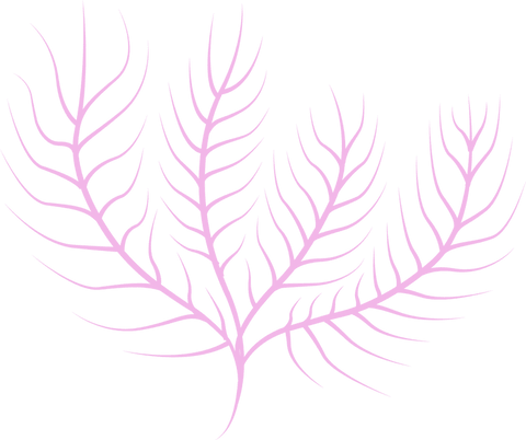 delicate pastel pink branching shape on transparent background - Download Free Stock Videos Pikwizard.com