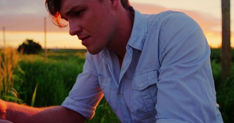 Man Touching Wheat Crops in Field at Dusk - Download Free Stock Images Pikwizard.com