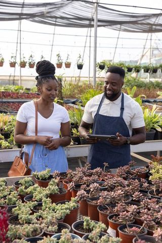 African american greenhouse staff advising customer on succulents using tablet
