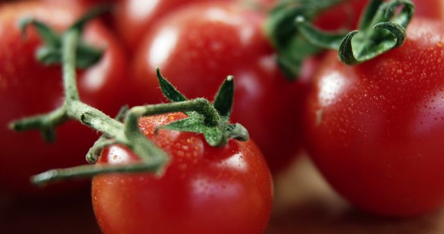 Close-up of ripe, red tomatoes on the vine, showcasing their fresh, juicy texture - Download Free Stock Photos Pikwizard.com