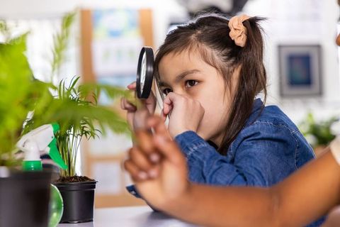 Young asian girl examining plants with magnifying glass in classroom hands-on science