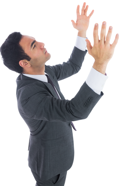 Confident Businessman Raising Hands, Transparent Background - Download Free Stock Videos Pikwizard.com