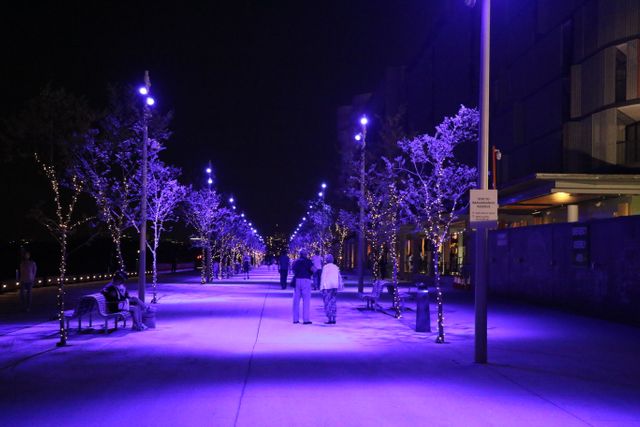 Couple Strolling Under Blue Illuminated Trees at Night - Download Free Stock Photos Pikwizard.com