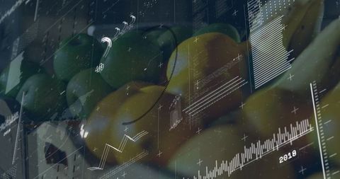 Mango market analytics overlay showing fresh produce crate with digital data charts 2018