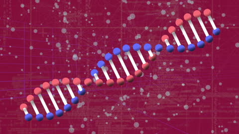 DNA Strand with Abstract Data Lines and Circuits