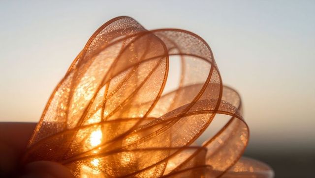 Golden mesh ribbon loops backlit by sunset, sparkling decorative ribbon closeup