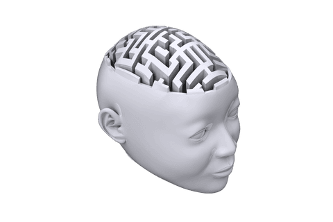 transparent head with labyrinth brain depicting intelligence exploration - Download Free Stock Videos Pikwizard.com