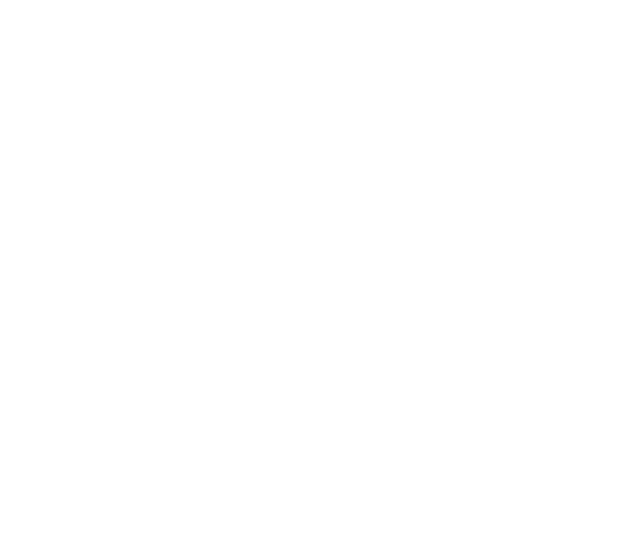 Transparent Silhouette of Woman Drinking Water Bottle Hydrating - Download Free Stock Videos Pikwizard.com