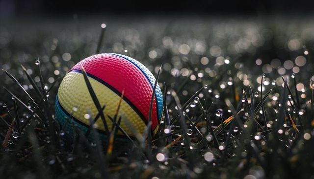 Multicolor rubber ball resting in dewy grass with water droplets and bokeh macro