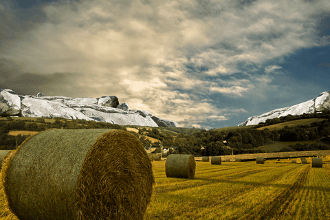 transparent contemporary countryside scene on field - Download Free Stock Videos Pikwizard.com