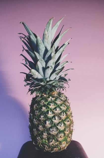 Fresh Pineapple Against Pastel Background - Download Free Stock Photos Pikwizard.com