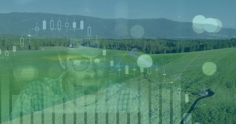 Business Data Overlay on Tranquil Forest Landscape - Download Free Stock Images Pikwizard.com