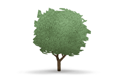 Tree Composed of US Dollar Bills on Transparent Background - Download Free Stock Videos Pikwizard.com