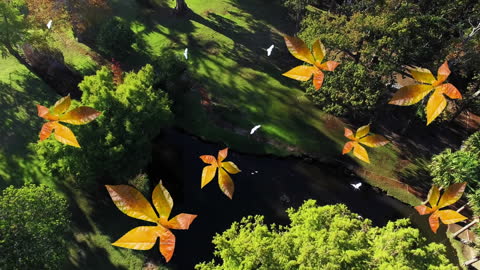 Animation of Autumn Leaves Falling Over Scenic Grove