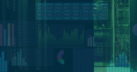 Digital Analytics with Data Visualization and Networking Systems