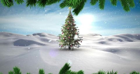 Lone christmas tree sparkling with ornaments and lights in snowy field framed by pine boughs