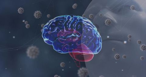 3d blue brain model with virus particles and mesh nodes
