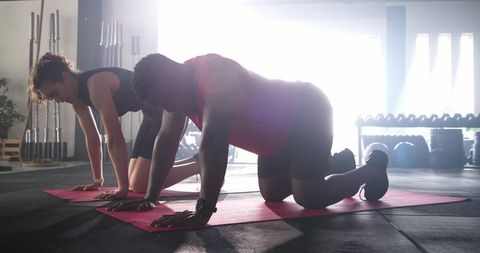 Diverse workout partners in quadruped pose at gym