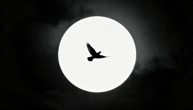 Soaring dove silhouette crossing full moon in high-contrast monochrome night sky