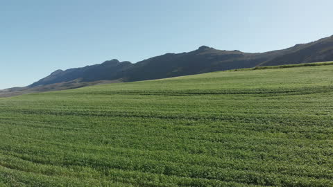 Lush Green Fields with Rolling Hills at Horizon