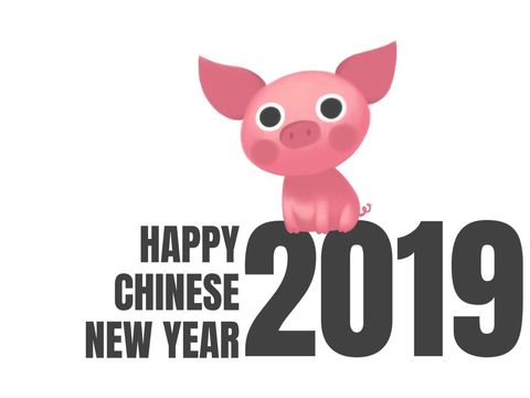 Cute Pig Illustration Celebrating Chinese New Year 2019 - Download Free Stock Templates Pikwizard.com