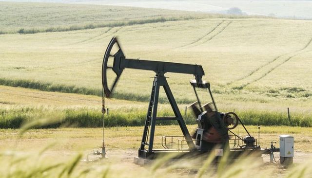 Oil pumpjack operating amid sunlit ripening grain fields, rural wellhead with walking beam