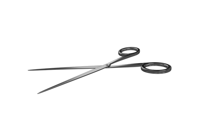 Transparent Black Scissors Isolated Against Clear Background - Download Free Stock Videos Pikwizard.com