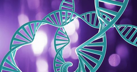 Twisting DNA Strands Against Vibrant Purple Background - Download Free Stock Images Pikwizard.com