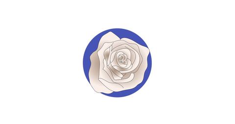 White Rose on Blue Circle Artistic Design - Download Free Stock Images Pikwizard.com