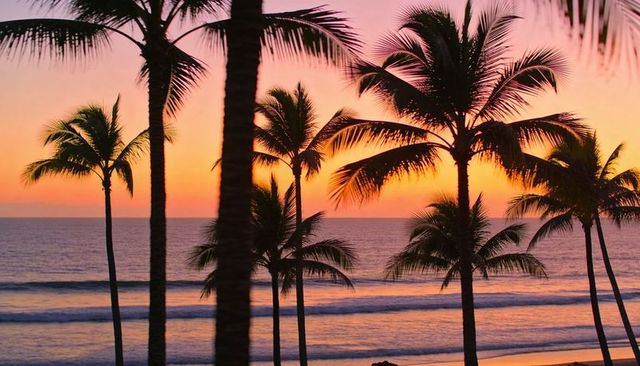 Sunset palm silhouettes framing calm ocean waves with vibrant tropical gradient sky