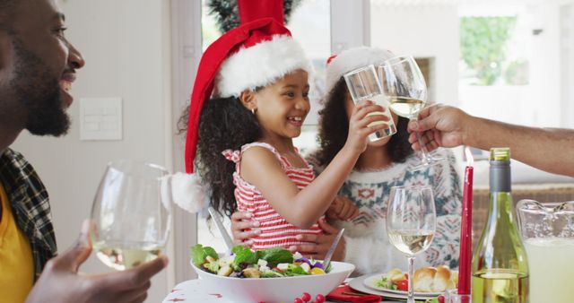 Family Celebrating Christmas with Drinks and Salad - Download Free Stock Images Pikwizard.com