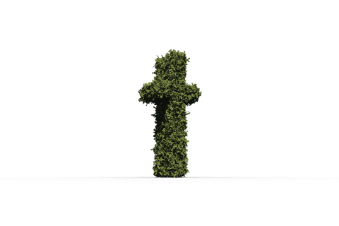Leaf-Covered Cross with Transparent Background in Christian Theme - Download Free Stock Videos Pikwizard.com