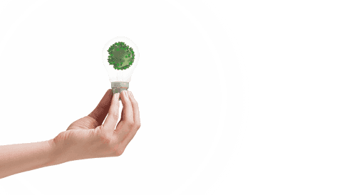 Hand holding transparent light bulb with green environment concept