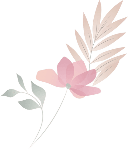 botanical minimalism: pink bloom with transparent background - Download Free Stock Videos Pikwizard.com